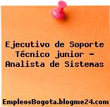 Ejecutivo de Soporte Técnico junior – Analista de Sistemas