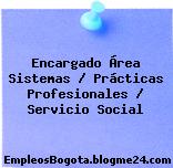 Encargado Área Sistemas / Prácticas Profesionales / Servicio Social