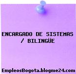 ENCARGADO DE SISTEMAS / BILINGÜE