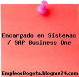 Encargado en Sistemas / SAP Business One
