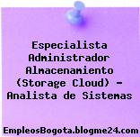 Especialista Administrador Almacenamiento (Storage Cloud) – Analista de Sistemas