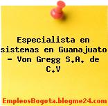 Especialista en sistemas en Guanajuato – Von Gregg S.A. de C.V