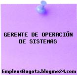 GERENTE DE OPERACIÓN DE SISTEMAS