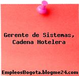 Gerente de Sistemas, Cadena Hotelera