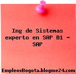 Ing de Sistemas experto en SAP B1 – SAP