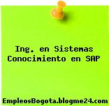 Ing. en Sistemas Conocimiento en SAP