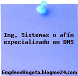 Ing. Sistemas o afín especializado en DNS