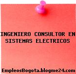 INGENIERO CONSULTOR EN SISTEMAS ELECTRICOS