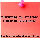 INGENIERO EN SISTEMAS (COLONIA GAVILANES)
