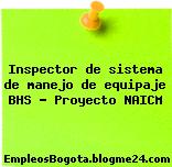 Inspector de sistema de manejo de equipaje BHS – Proyecto NAICM