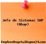 Jefe de Sistemas SAP (Abap)