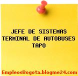 JEFE DE SISTEMAS TERMINAL DE AUTOBUSES TAPO