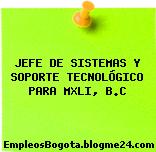 JEFE DE SISTEMAS Y SOPORTE TECNOLÓGICO PARA MXLI, B.C