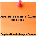 JEFE DE SISTEMAS (ZONA NORESTE)