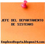 JEFE DEL DEPARTAMENTO DE SISTEMAS