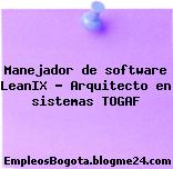 Manejador de software LeanIX – Arquitecto en sistemas TOGAF