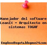 Manejador del software LeanIX – Arquitecto en sistemas TOGAF