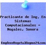 Practicante de Ing. En Sistemas Computacionales – Nogales, Sonora