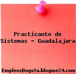 Practicante de Sistemas – Guadalajara