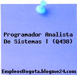 Programador Analista De Sistemas | (Q438)