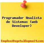 Programador Analista De Sistemas (Web Developer)