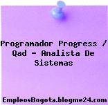Programador Progress / Qad – Analista De Sistemas
