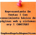 Representante De Ventas | Con conocimiento básico de páginas web y sistemas erp | (HWV760)