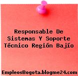 Responsable De Sistemas Y Soporte Técnico Región Bajío