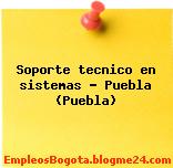 Soporte tecnico en sistemas – Puebla (Puebla)