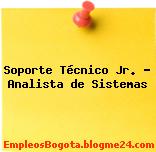 Soporte Técnico Jr. – Analista de Sistemas