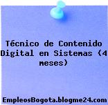 Técnico de Contenido Digital en Sistemas (4 meses)