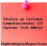 Técnico en Sistemas Computacionales (IT Systems Tech Admin)
