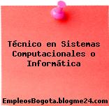 Técnico en Sistemas Computacionales o Informática