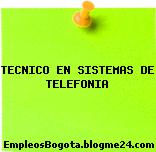 TECNICO EN SISTEMAS DE TELEFONIA