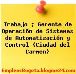 Trabajo : Gerente de Operación de Sistemas de Automatización y Control (Ciudad del Carmen)