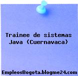 Trainee de sistemas Java (Cuernavaca)
