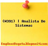 (W391) | Analista De Sistemas