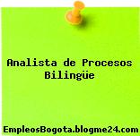 Analista de Procesos Bilingüe
