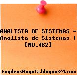 ANALISTA DE SISTEMAS – Analista de Sistemas | [NU.462]