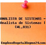 ANALISTA DE SISTEMAS – Analista de Sistemas | (WL.831)