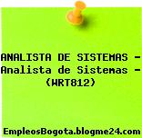 ANALISTA DE SISTEMAS – Analista de Sistemas – (WRT812)