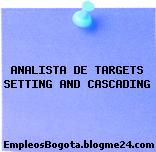 ANALISTA DE TARGETS SETTING AND CASCADING