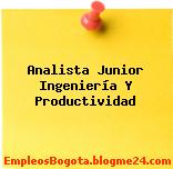 Analista Junior Ingeniería Y Productividad