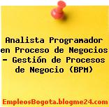 Analista Programador en Proceso de Negocios – Gestión de Procesos de Negocio (BPM)