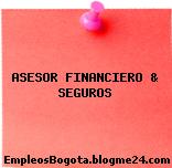 ASESOR FINANCIERO & SEGUROS
