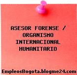 ASESOR FORENSE/ ORGANISMO INTERNACIONAL HUMANITARIO
