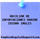 AUXILIAR DE IMPORTACIONES DOMINE IDIOMA INGLES