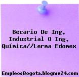 Becario De Ing. Industrial O Ing. Química//Lerma Edomex
