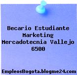 Becario Estudiante Marketing Mercadotecnia Vallejo 6500