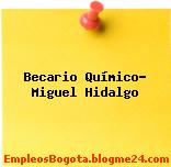 Becario Químico- Miguel Hidalgo